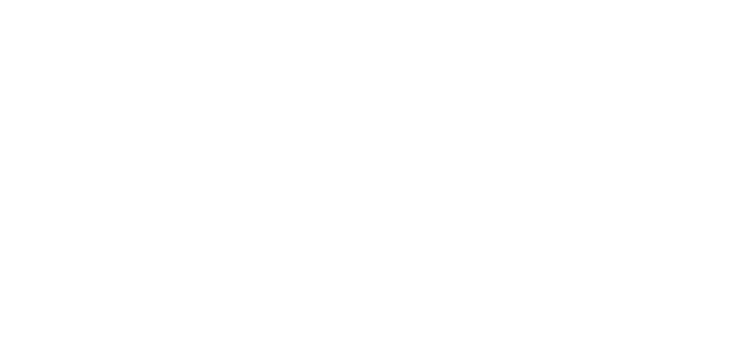 Wizz Air